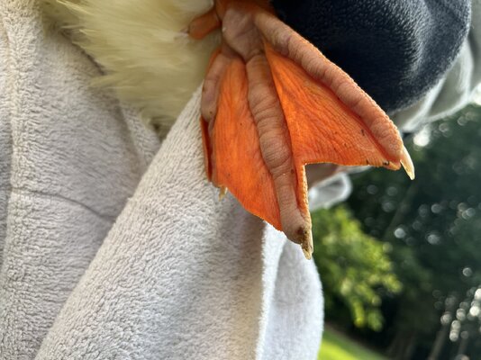IMG_7492.jpeg