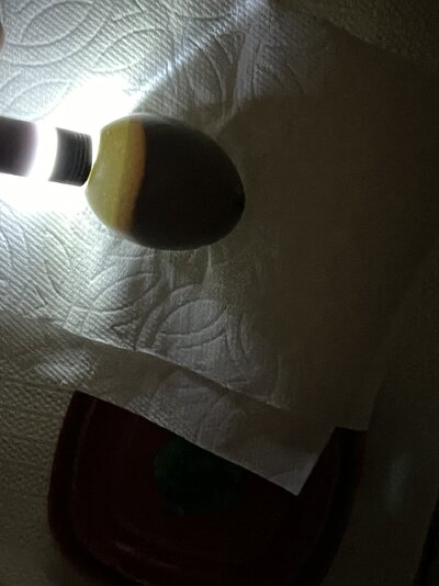IMG_9076.jpeg