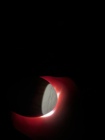 IMG_2024 (1).jpeg