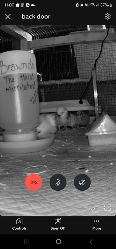 Screenshot_20240805_230056_Ring.jpg