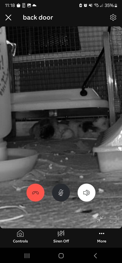 Screenshot_20240805_231850_Ring.jpg