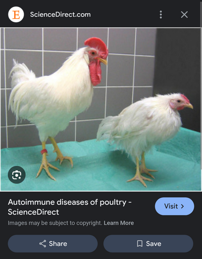 chrome_screenshot_Aug 7, 2024 2_25_21 PM EDT.png