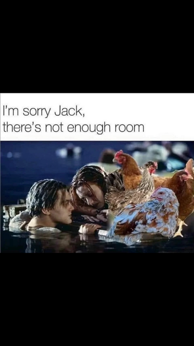 IMG_4421.png