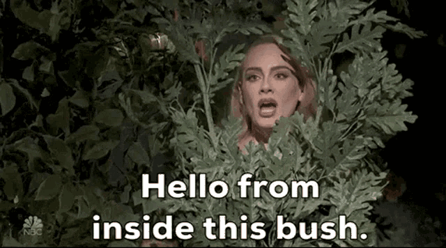 adele-sn-p.gif
