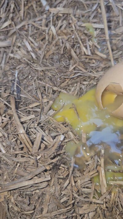 VideoCapture_20240814-193022.jpg