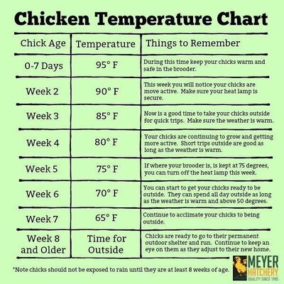 temp chart.jpg