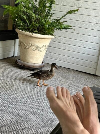 IMG_3283.jpeg