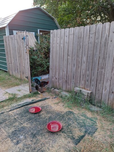 IMG_20240822_080036_HDR.jpg