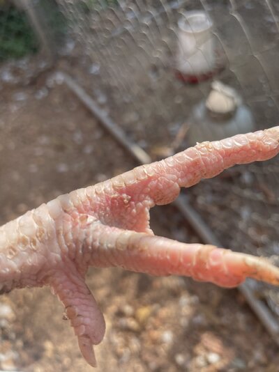 IMG_7830.jpeg