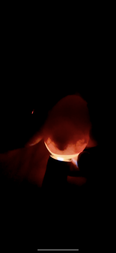 Pic two - Egg candling day 10 saddle aircell low weight.PNG