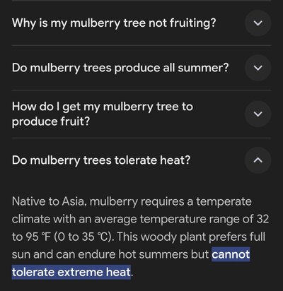 Screenshot_20240825_183828_Chrome.jpg