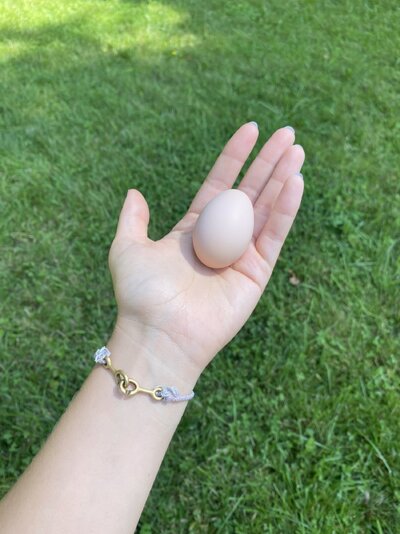 Egg1.JPG