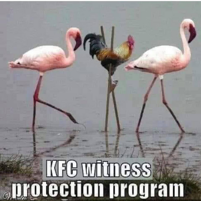 IMG_1111.png