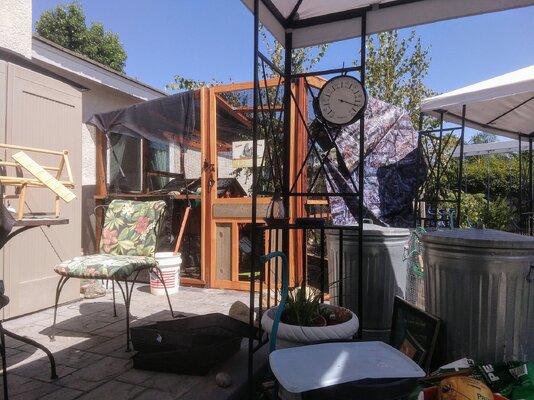 Chicken run witth shade tarps.jpg