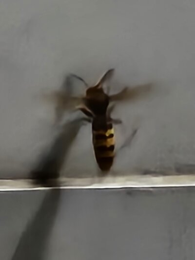 20240828_223137.jpg