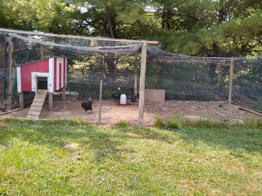 IMG_20240830_155303276_HDR[1].jpg