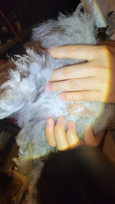 20240831_012300.jpg