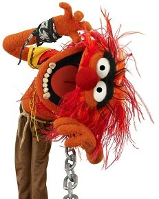 Animal_(Muppet).jpg
