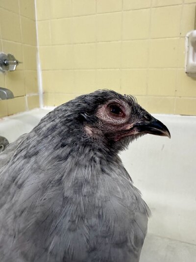 IMG_0842.jpeg