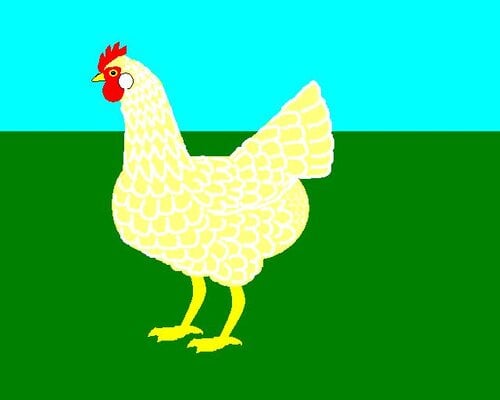 witgeelgezoomd.jpeg