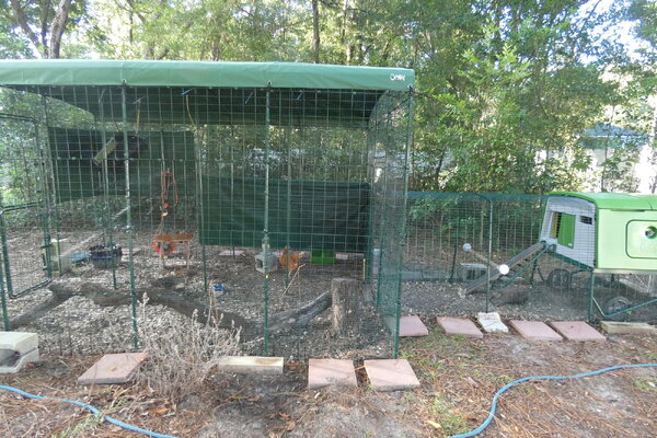Coop and run side view.JPG