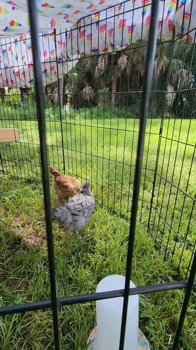 VideoCapture_20240905-203856.jpg