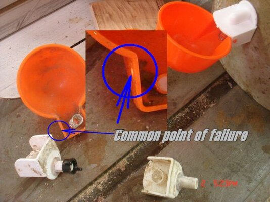 OrangeWateringCups (CPOF).jpg