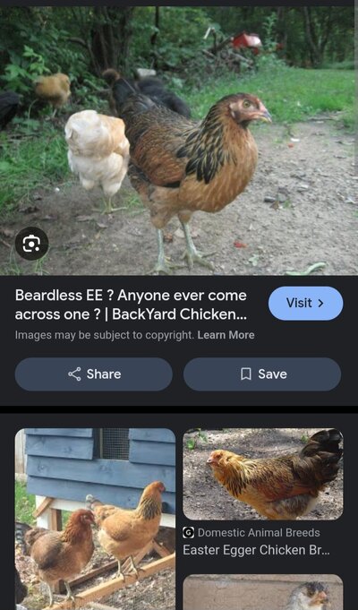 Screenshot_20240907_225351_Chrome.jpg