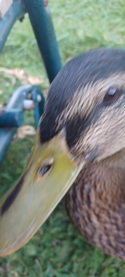 20240909_162315.jpg