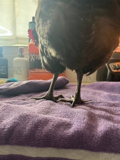 IMG_8102.jpeg
