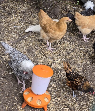 20240920_161324.jpg 20240920_161324.jpg