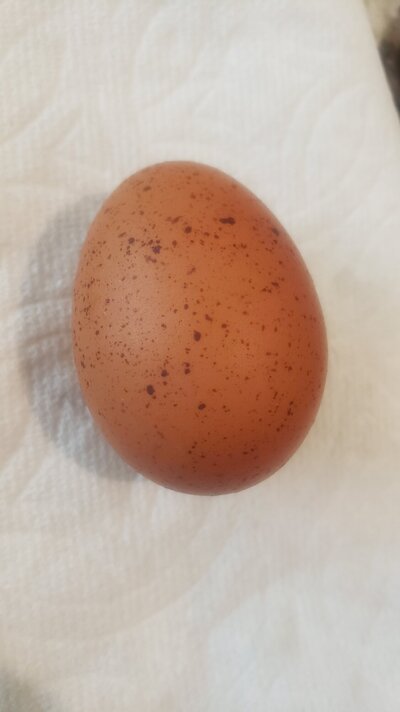 20240922_155020.jpg