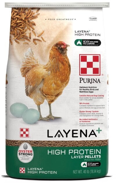 purina-9-26.jpg