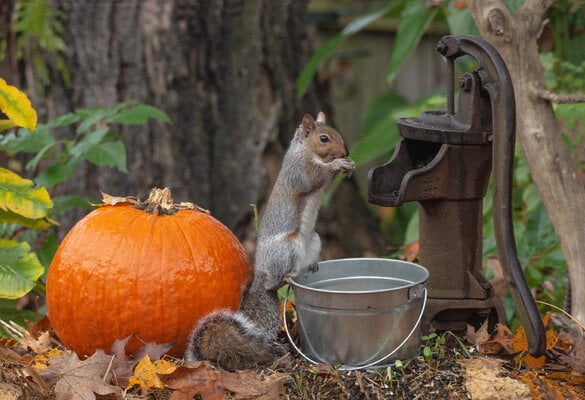 2023_fall_fun_1.jpg