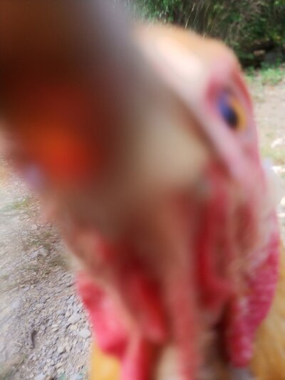0903241654n.jpg