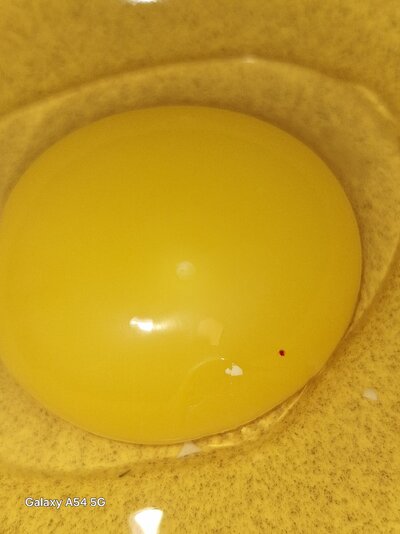 20240930_084107.jpg