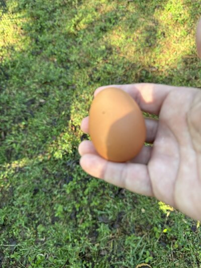 IMG_5790.jpeg
