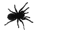 spider.gif spider.gif