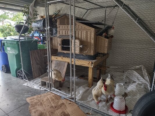 IMG_20241009_124144360_HDR.jpg