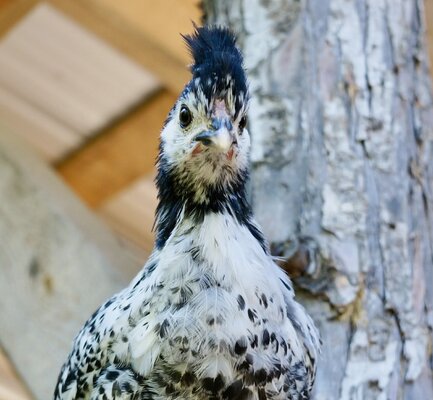21EEAA0E-6ECF-4BE1-AE33-9C9D8E995EC7_DSC7512.jpeg