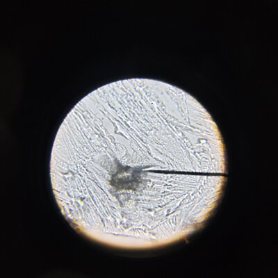 20241010_014348.jpg