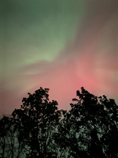 IMG_6413.jpeg