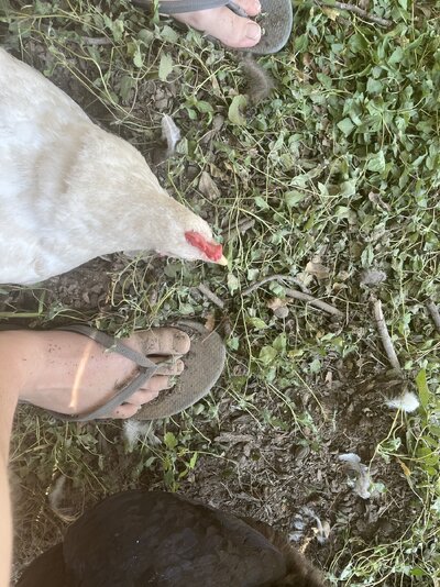 IMG_4358.jpeg