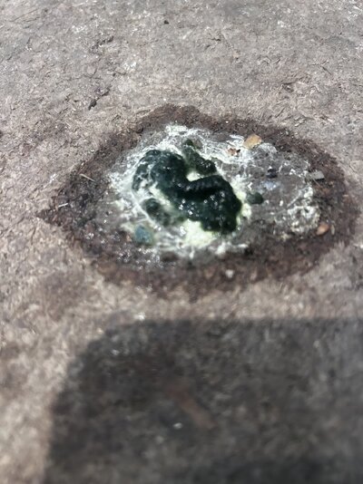 IMG_4132.jpeg