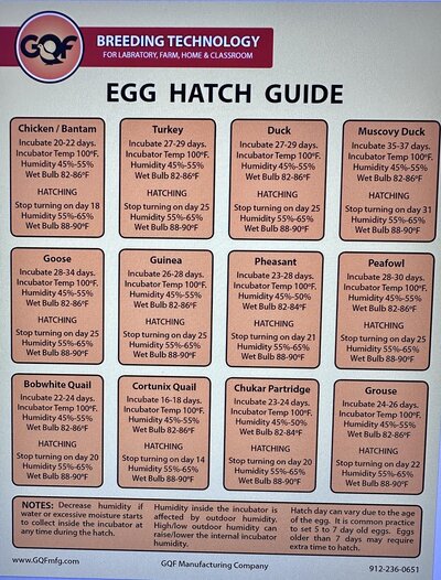 egg guide.jpg