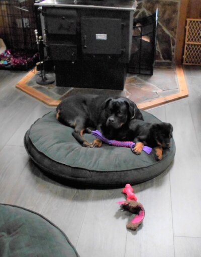 DSCN0778.1.jpg