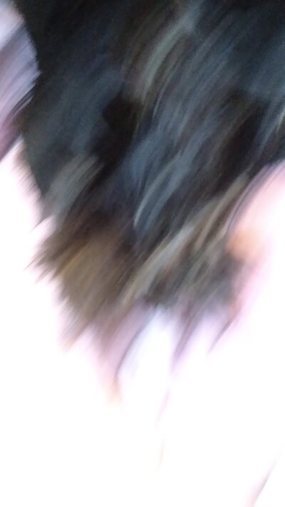 20241019_082715.jpg