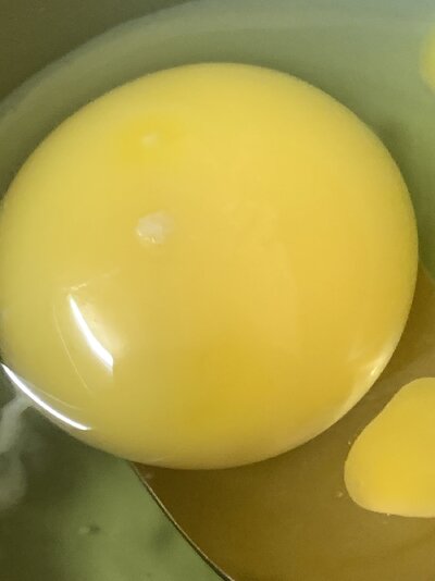 IMG_5169.jpeg
