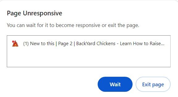 page unresponsive.jpg
