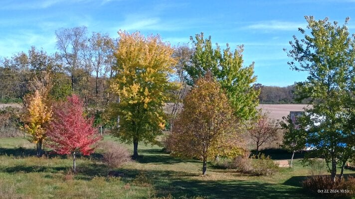 IMG_20241022_105354956_HDR.jpg